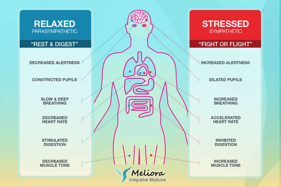 Stress relief program graphic